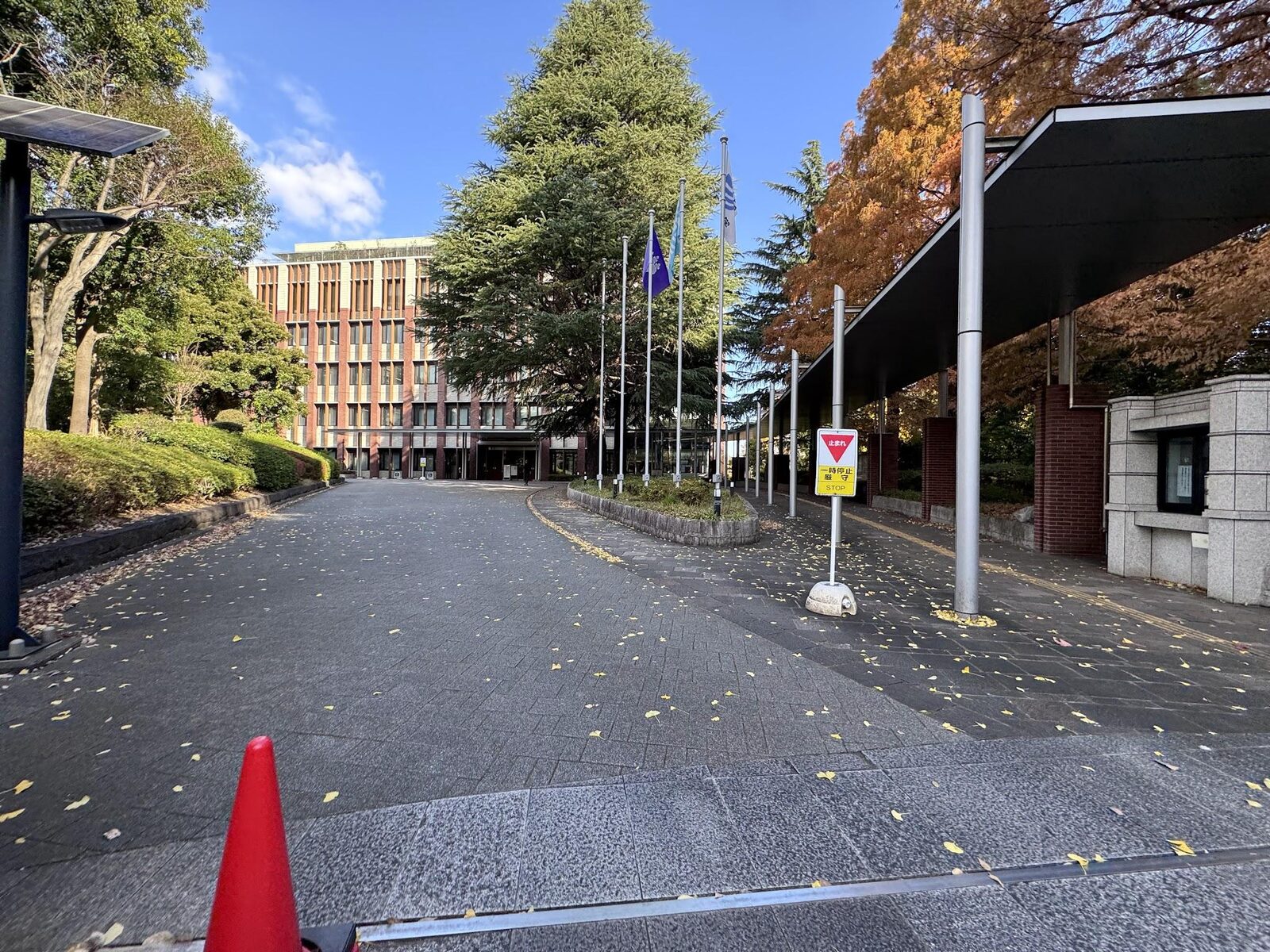 University of Tsukuba Tokyo Campus grounds in autumn