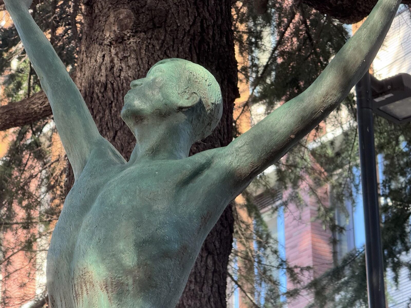 Bronze sculpture on the Tokyo Campus