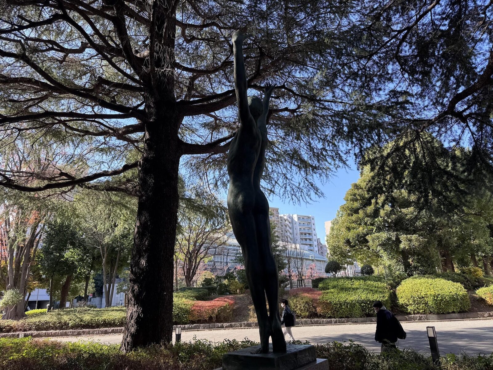 Tree-lined campus walk